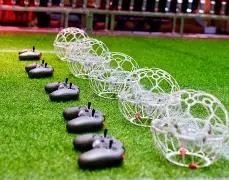 足球观赛必,备礼仪指南,半岛体育,半岛体育平台,半岛体育官方网站,半岛体育登录入口,半岛体育app下载