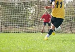 Crucial,Pro,挑战电竞巅,半岛体育平台,半岛体育官方网站,半岛体育登录入口,半岛体育app下载