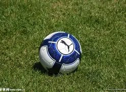 半岛体育,资讯,半岛体育平台,半岛体育平台,半岛体育官方网站,半岛体育登录入口,半岛体育app下载