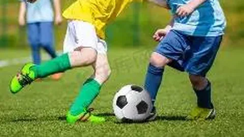 半岛体育 资讯 094113 qxa