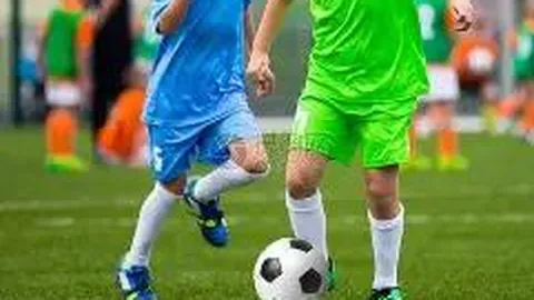 半岛体育 资讯 094143 b8v