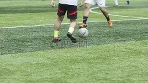 半岛体育 产品 094446 q6a