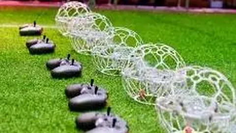 半岛体育 产品 094304 cra