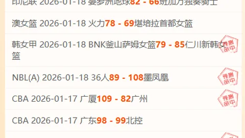 切尔西对卢卡库投资意愿低，球员未来前景不明