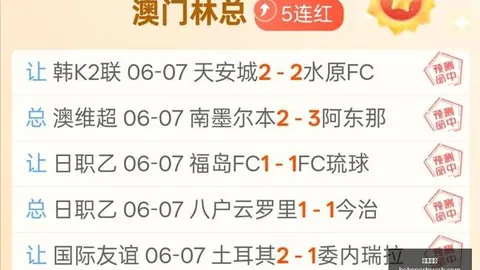 2026年乐高霍比特，半岛体育直播，人豪华插画套装特价抢购会员独享年度优惠
